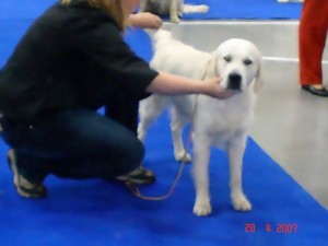 Bastienek při posuzování