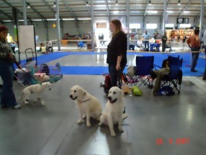 Cassi, Bronwyn, Bastien