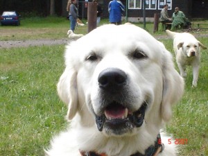 Basti a běžící Sendy